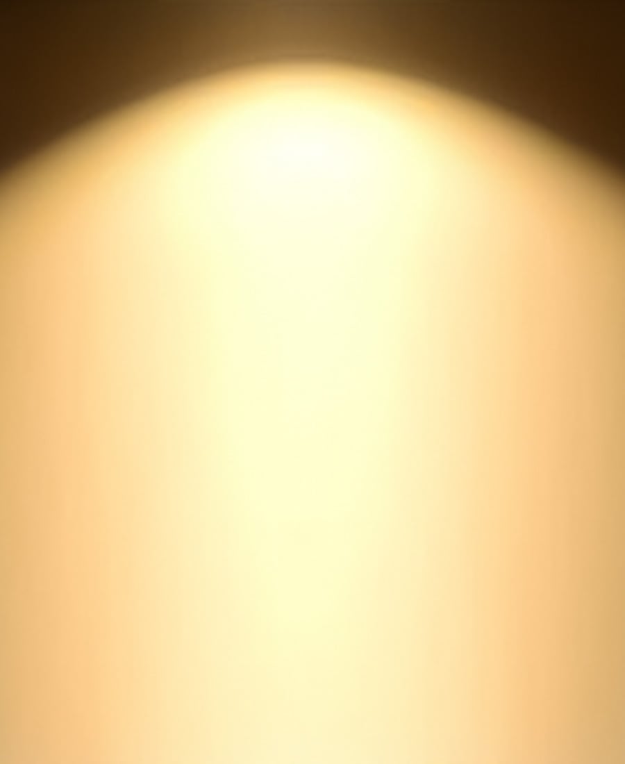 Warm