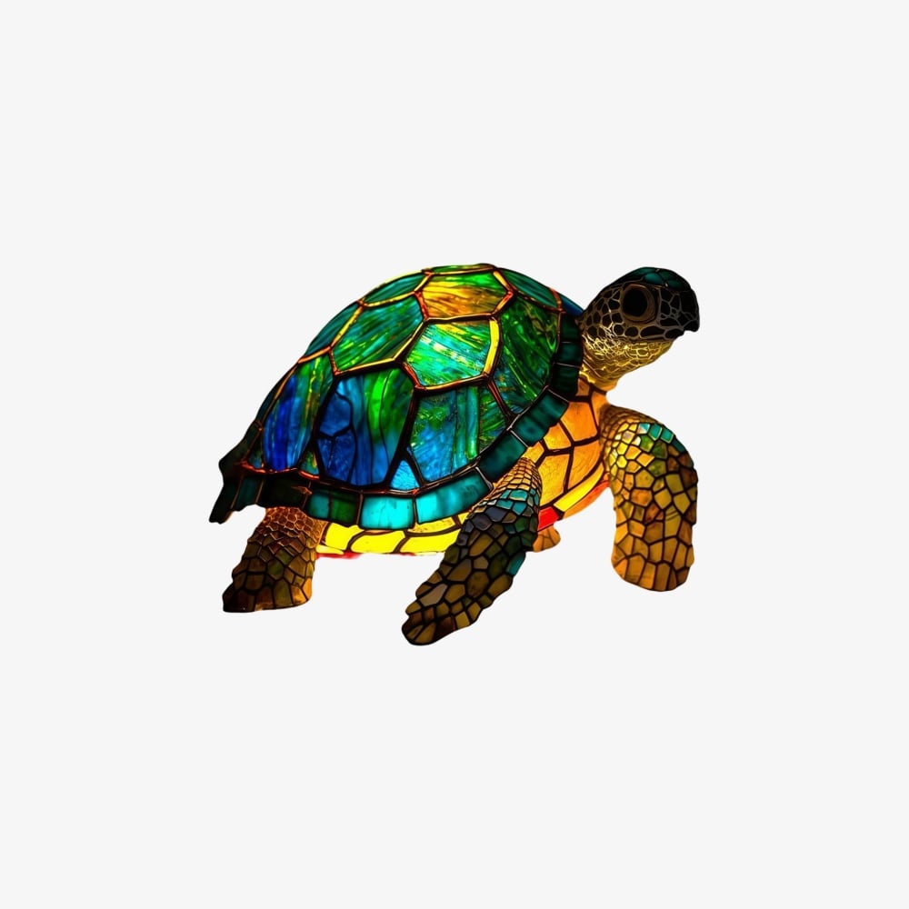 Magische Schildpad
