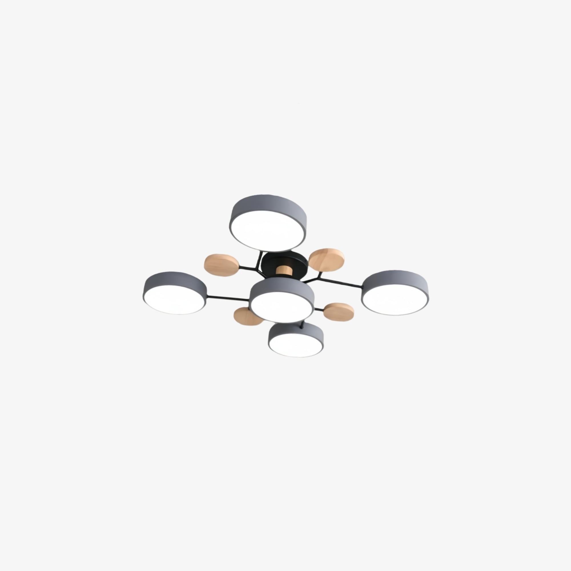 Grijs