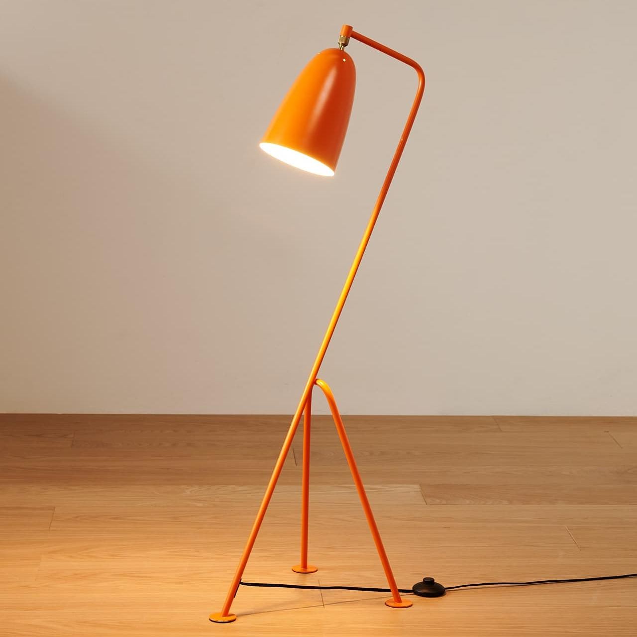 Grishma Nordic ‎Minimalist Metal Floor Lamp