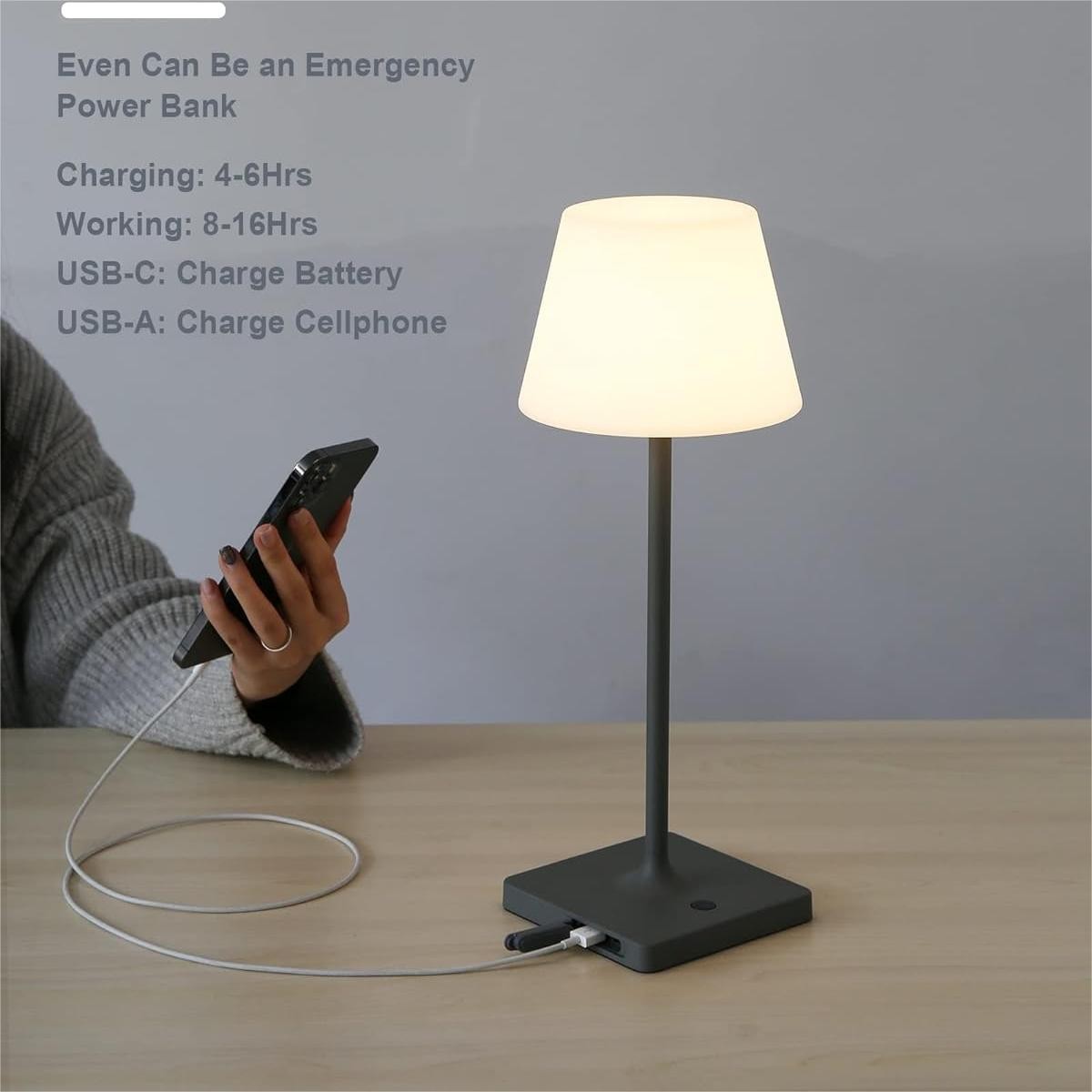 Halley Exquisite Brass Color Rechargeable Dimmable Cordless Table Lamp