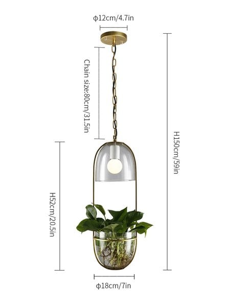Water Plants Glass Pendant Light