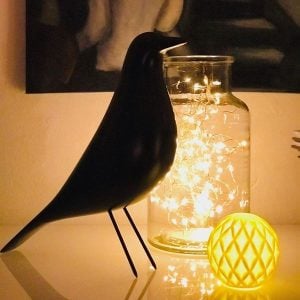 Eames House Bird