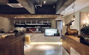 BANG Concrete pendant lamp