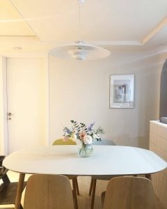 Pendant Light JL341