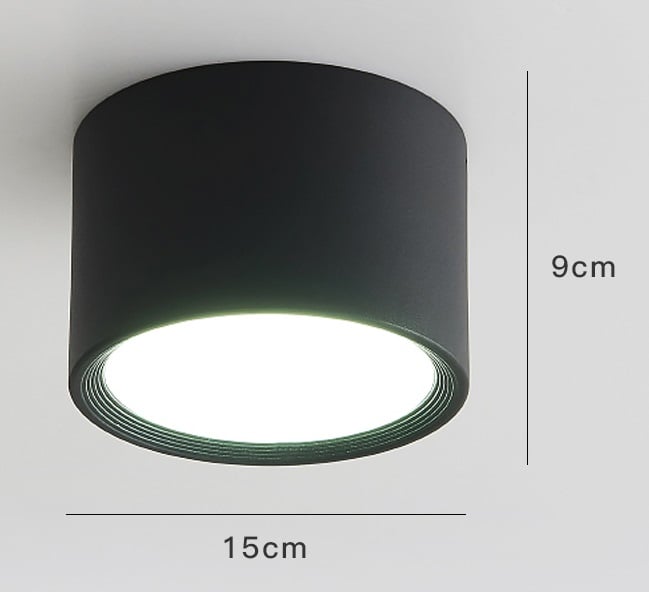 LED Simple Ceiling Light