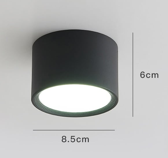 LED Simple Ceiling Light