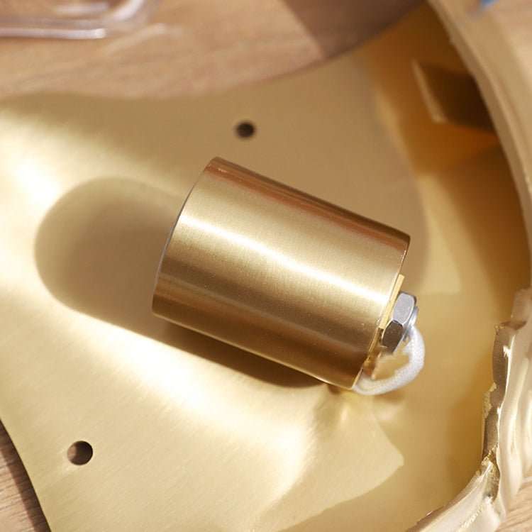 Polished Brass Hardware & Socket Detail