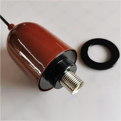 Paint Colored Lamp Body