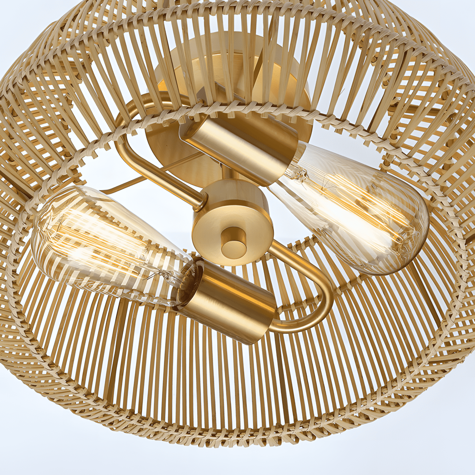 Brass canopy and lamp holder