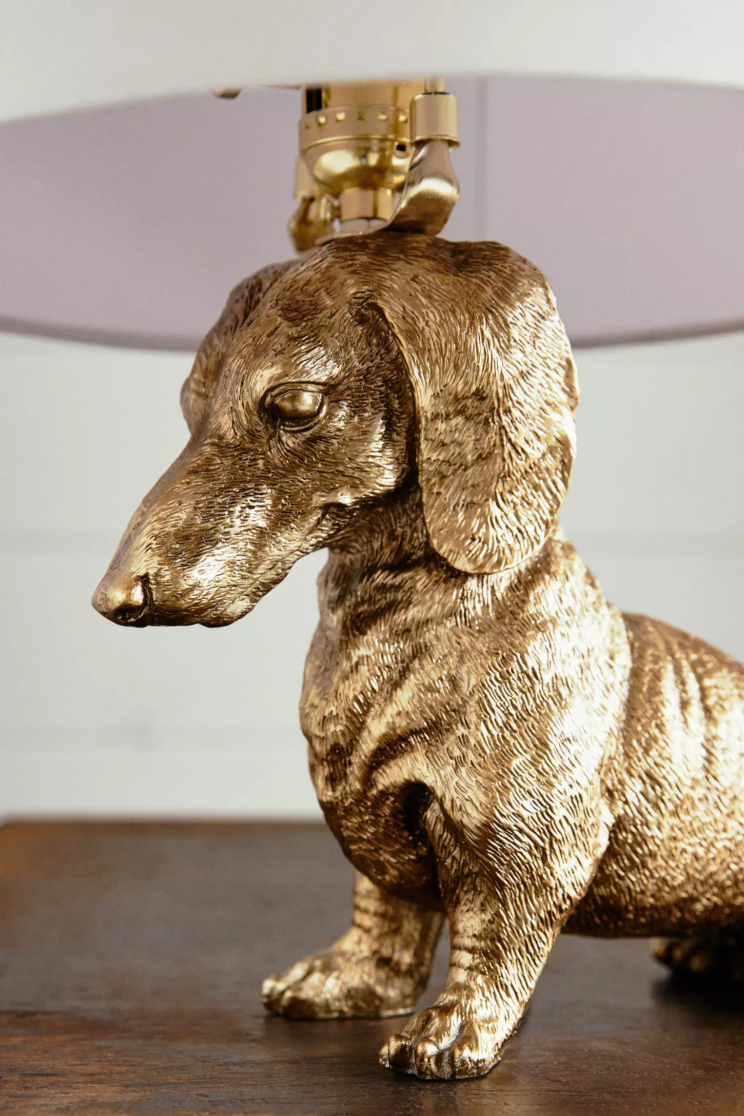 Dachshund