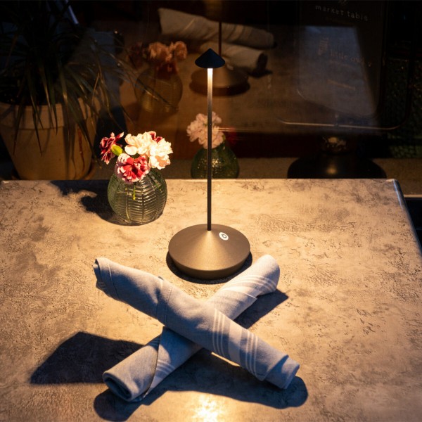 pina pro table lamp dark gray