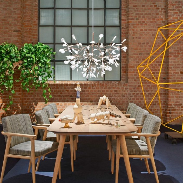 Heracleum Kronleuchter