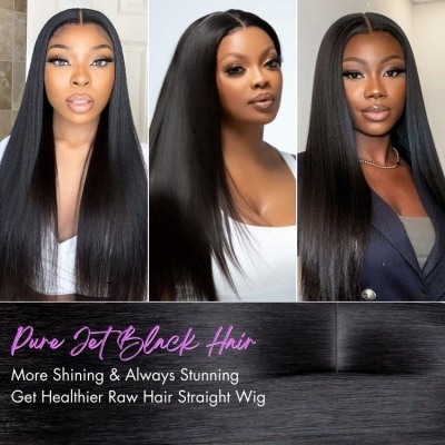 PreMax Wigs | Jet Black Middle Part Silky Straight Glueless 5x5 Closure Lace Wig
