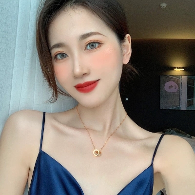 Necklace light luxury niche new women's design sense of titanium steel does not fade temperament collarbone chain accessories 