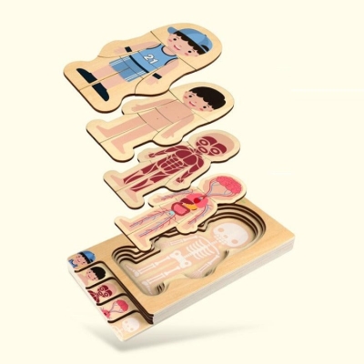 Wooden Boy Human Body Layer Puzzle