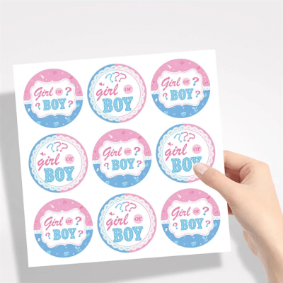 Paper Party Bag | Gender Reveal | 12 Pcs