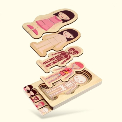 Wooden Girl Human Body Layer Puzzle