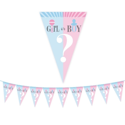 Party Tableware | Baby Gender Reveal | 16 Guests Lite