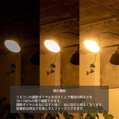 【3灯シーリングライト リッパー コラット】