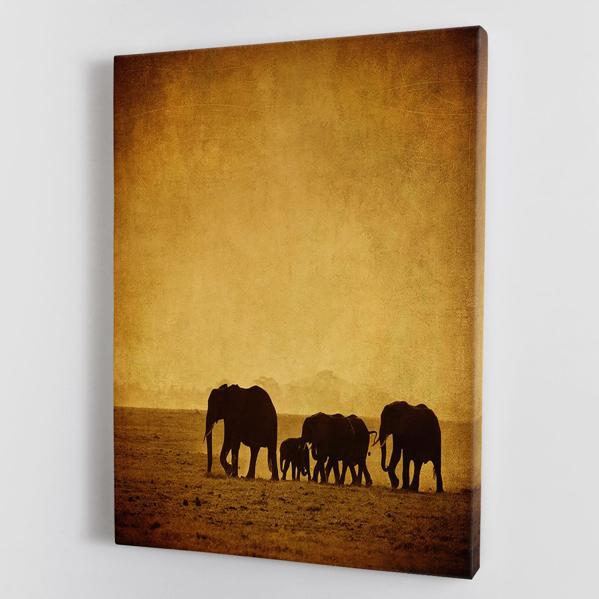 collection-banner-image