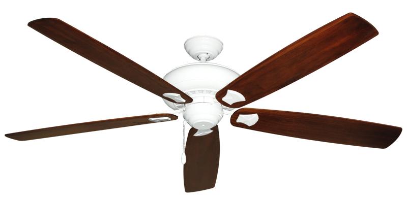 collection-banner-image