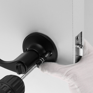door lever handle entrance