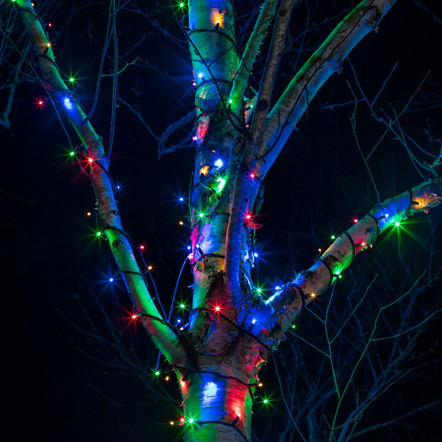 Pro Connect 60m 600 Multi Coloured Connectable String Lights Black Cable