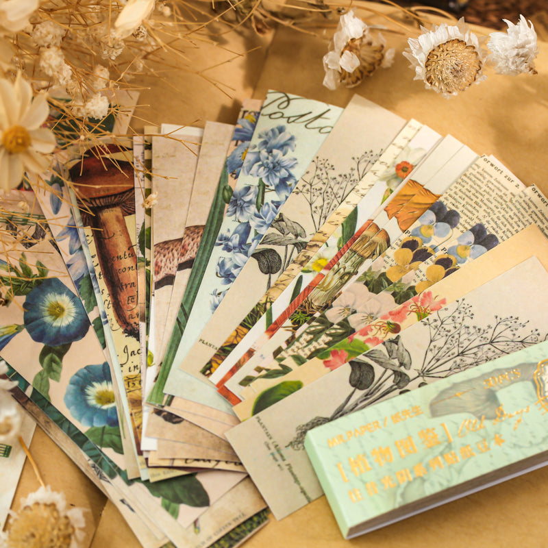 50PCS Past time series sticker