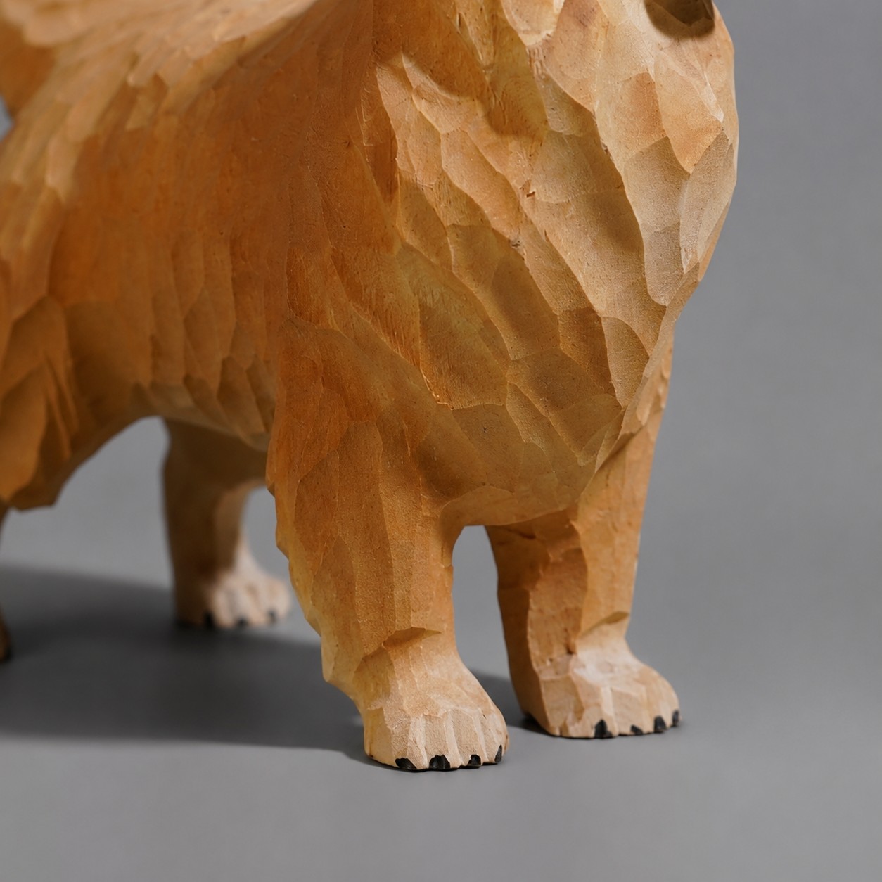 détail de la patte et de la pose debout