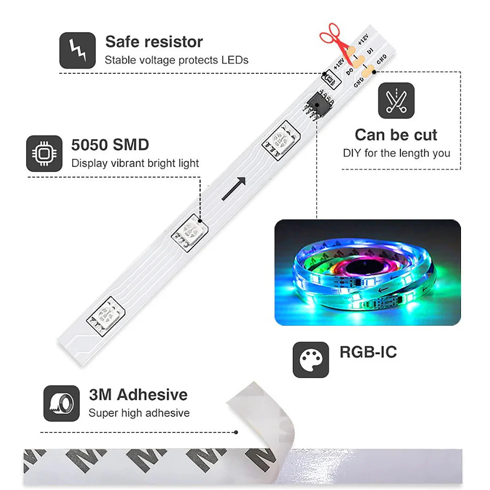 Multicolor LED Lights