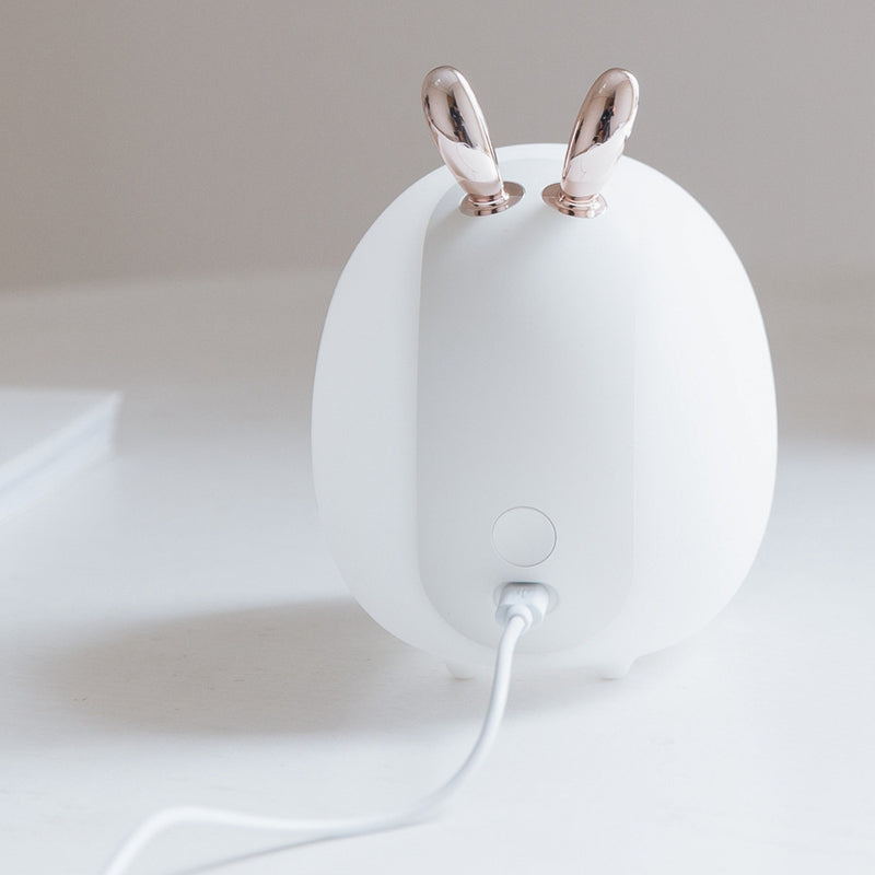 USB Rechargeable Dimmable LED Night Light