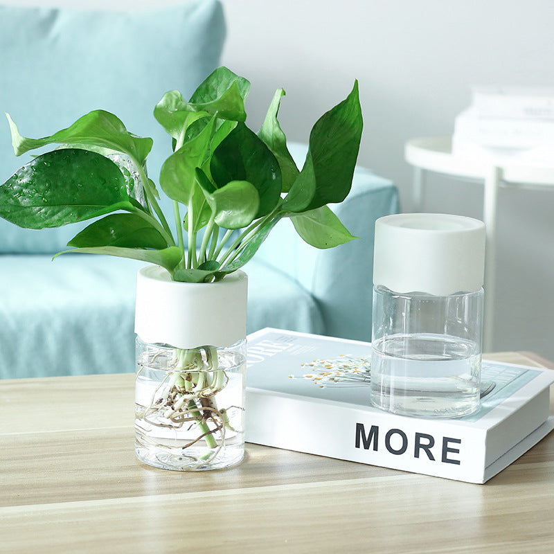 Transparent small tabletop hydroponic pot