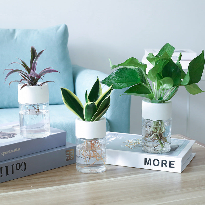Transparent small tabletop hydroponic pot