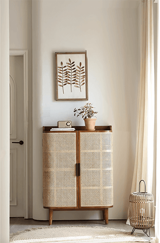 Lars Corner Shoe Storage Cabinet