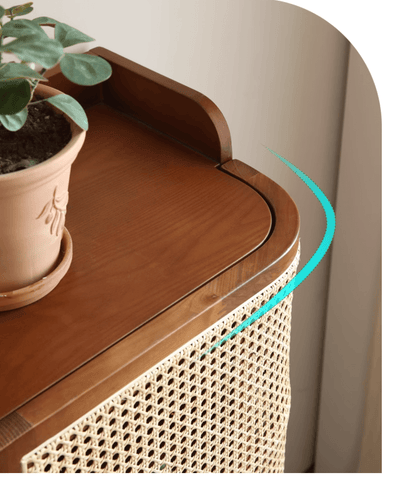 Corner Shoe Storage Cabinet