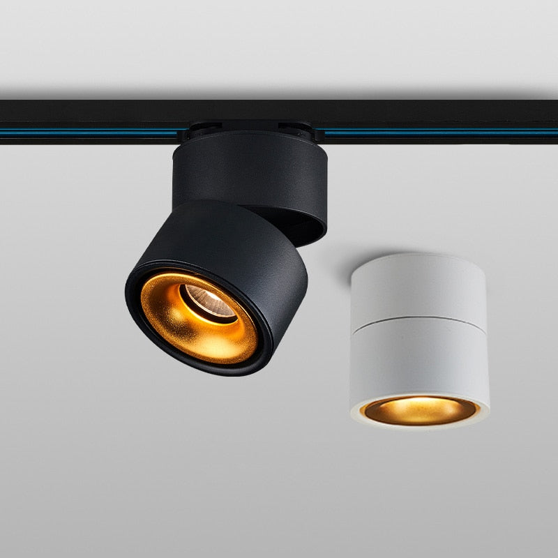 Modern Ceiling Light