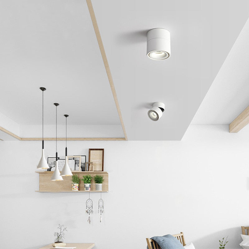 Modern Ceiling Light