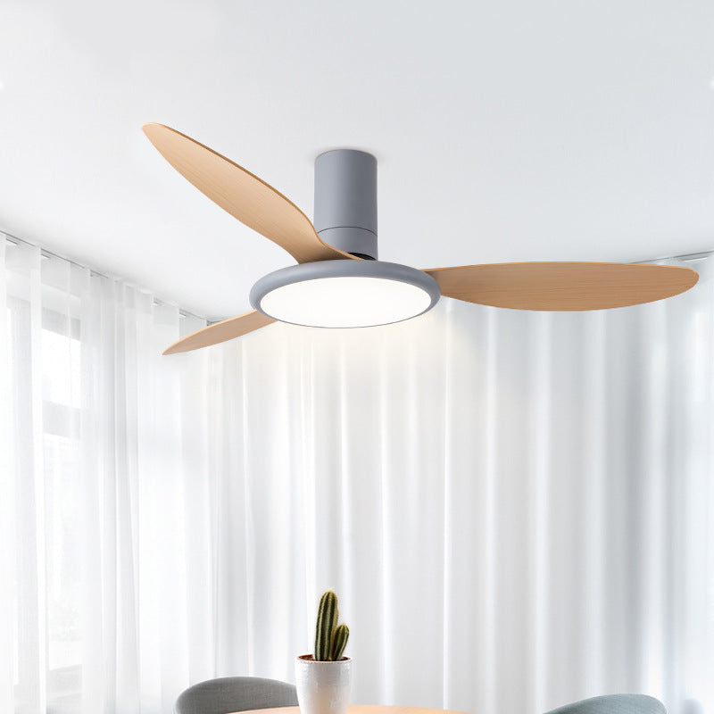 Zerua Ceiling Fan