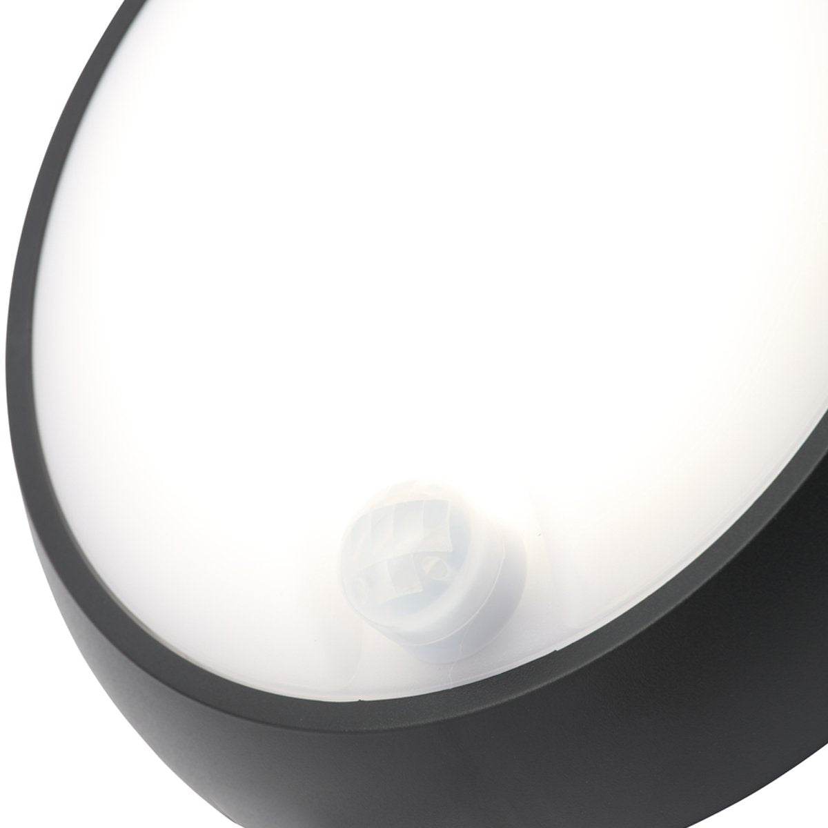 ZARA Black Round Medium Wall Or Ceiling Light With Motion Sensor