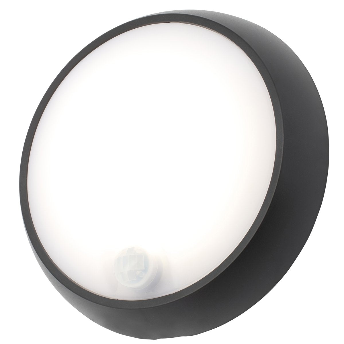ZARA Black Round Medium Wall Or Ceiling Light With Motion Sensor