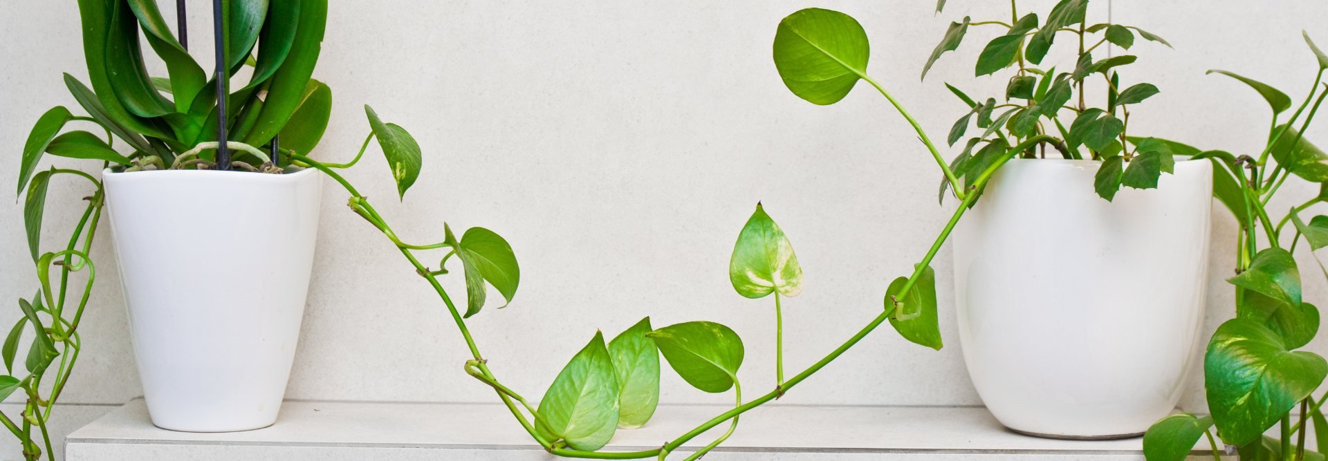 slider image slider_item_1