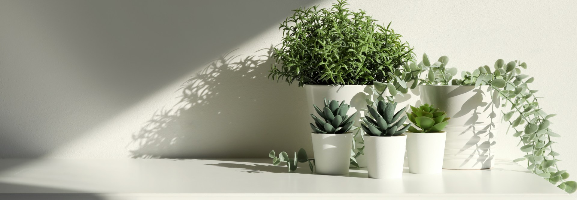 slider image slider_item_2